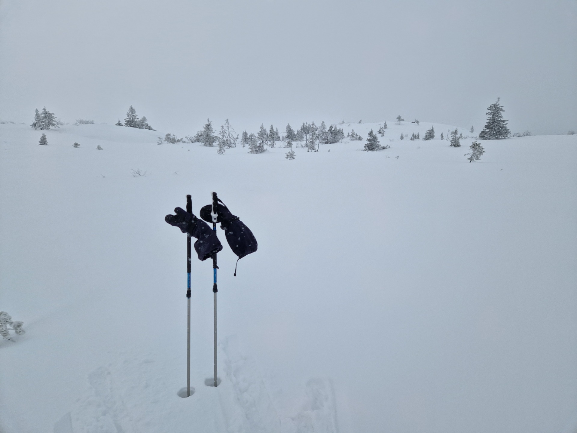 Sort-hvitt Blefjell, ikke et menneske utenom sporene.