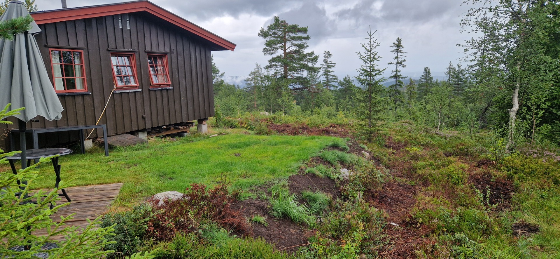 God vekst på gresset på frokostplassen