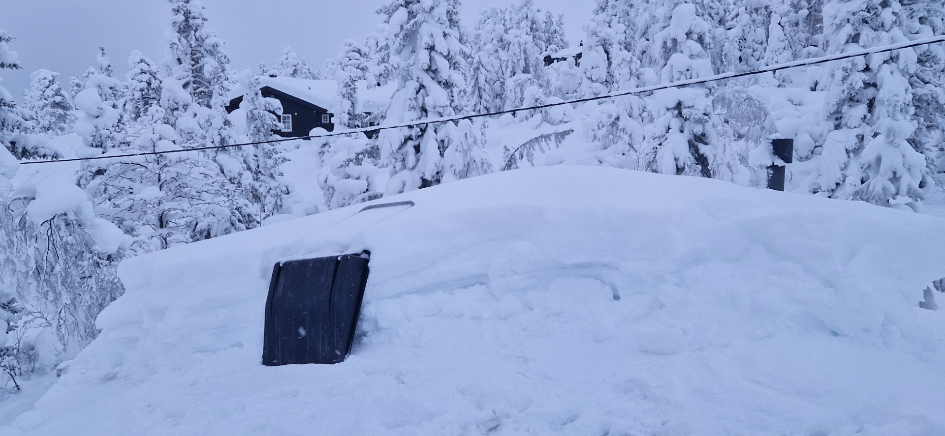 Taket på gamlehytta måtte måkes og så freses for å komme frem til den gamle ytterdøra
